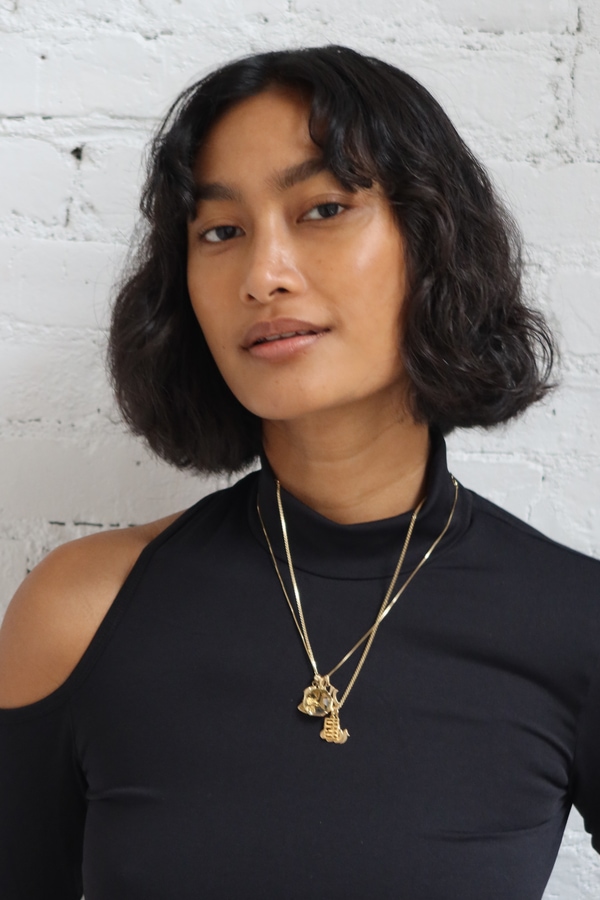 Model Image